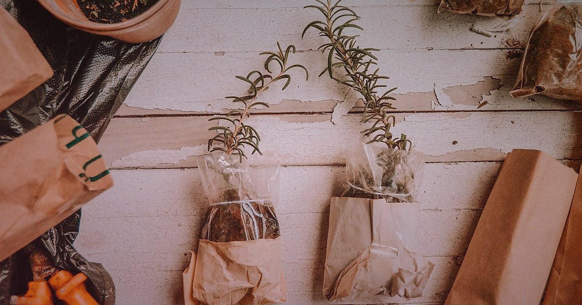 2026 Online Satışları Patlatın: E-Ticareti Zirveye Taşıyan Devrimci Stratejiler - eco-friendly product packaging on a wooden table with green leaves