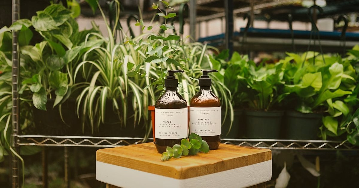 2026'da E-Ticaret Büyüme Fırsatları: Geleceğe Yön Veren Stratejiler - eco-friendly product packaging on display with green leaves