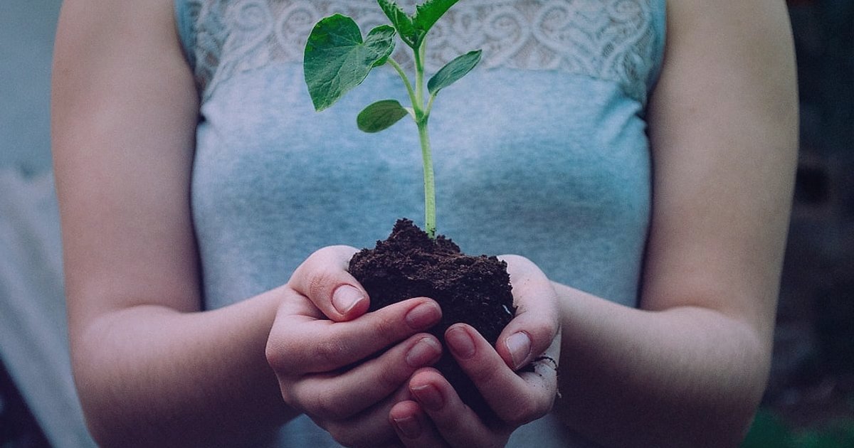 2026'da E-Ticaretin Yeni Yüzü: Yapay Zeka ve Kişiselleştirmenin Yükselişi - hands holding plant seedling earth globe background