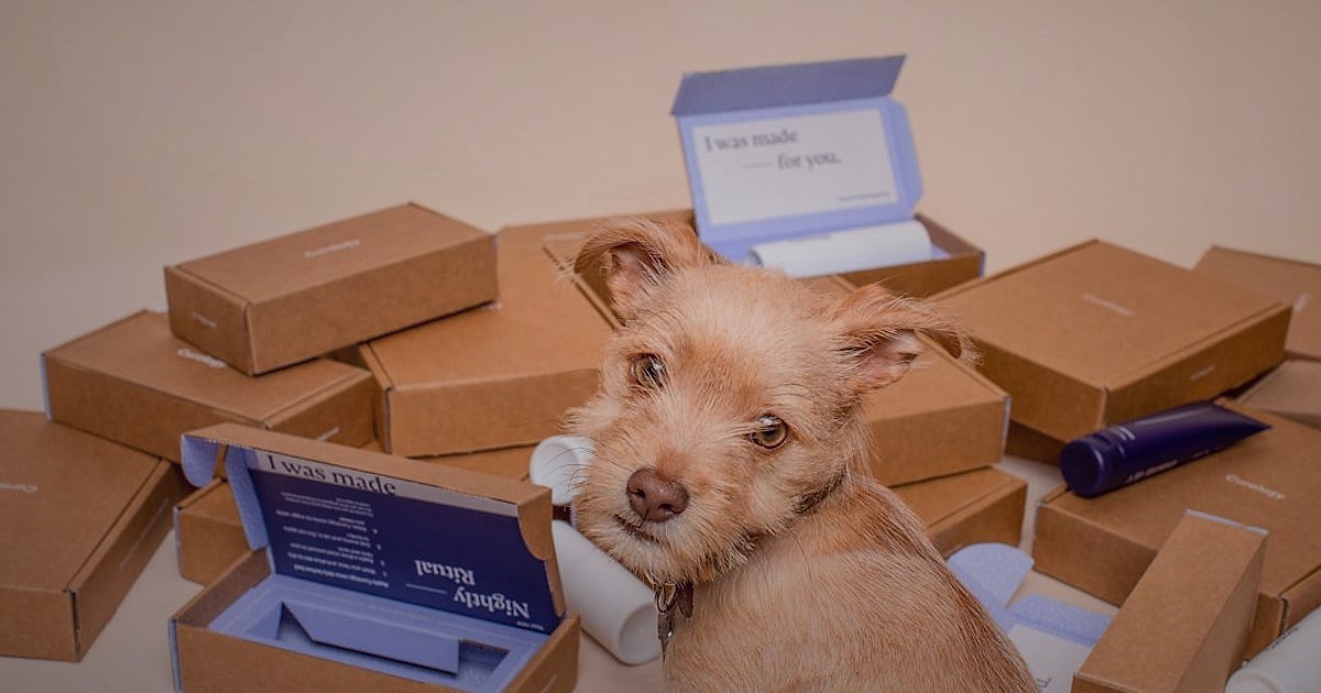 Abonelik Bazlı E-Ticaret: 2026'da Subscription Box Modeliyle Yüksek Kârlılığa Ulaşın! - various themed subscription boxes arranged neatly