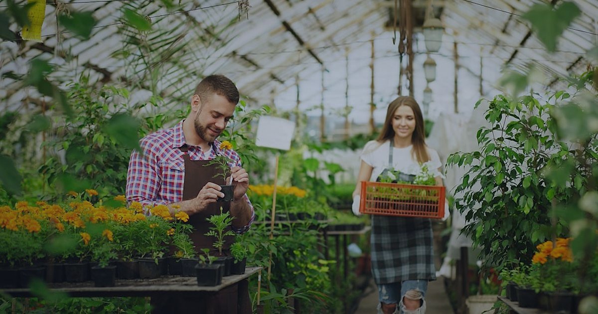 Bahçe & Yapı Market Ürünleri Online Satış 2026: Kârınızı Maksimize Edin! - Woman selecting potted plants in a brightly lit garden center