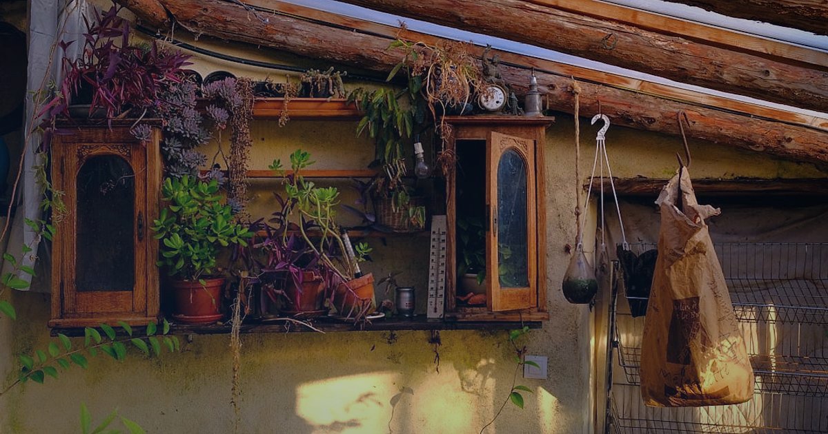 Bahçe & Yapı Market Ürünleri Online Satış 2026: Kârınızı Maksimize Edin! - Organized display of gardening tools and supplies on wooden shelves