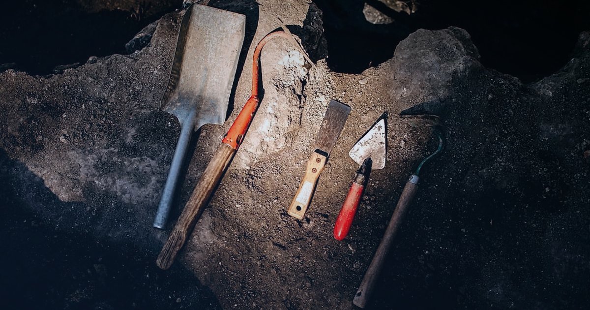 Bahçe & Yapı Market Ürünleri Online Satış 2026: Kârınızı Maksimize Edin! - High-quality product photos of gardening tools arranged artistically