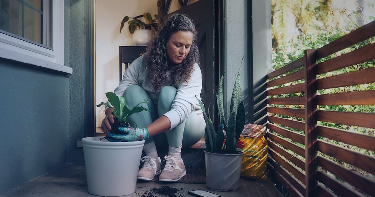 Dekoratif Bitki & Saksı 2026 Sezonluk Kampanya Takvimi: Satışlarınızı Yeşil Tutun! - woman arranging potted plants on a sunlit balcony