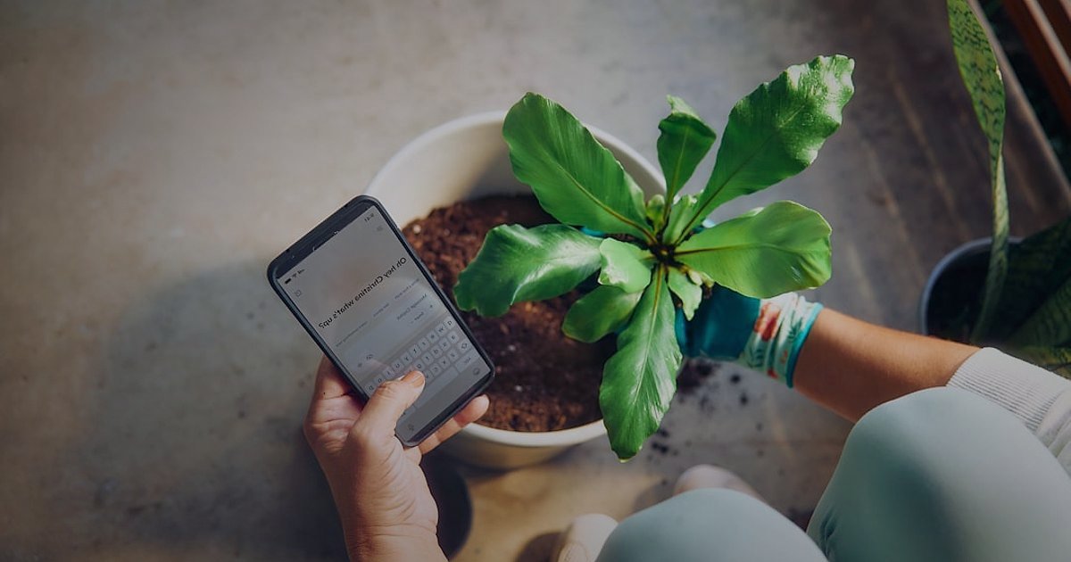 Dekoratif Bitki & Saksı 2026 Sezonluk Kampanya Takvimi: Satışlarınızı Yeşil Tutun! - diverse group of people shopping online for plants on mobile devices