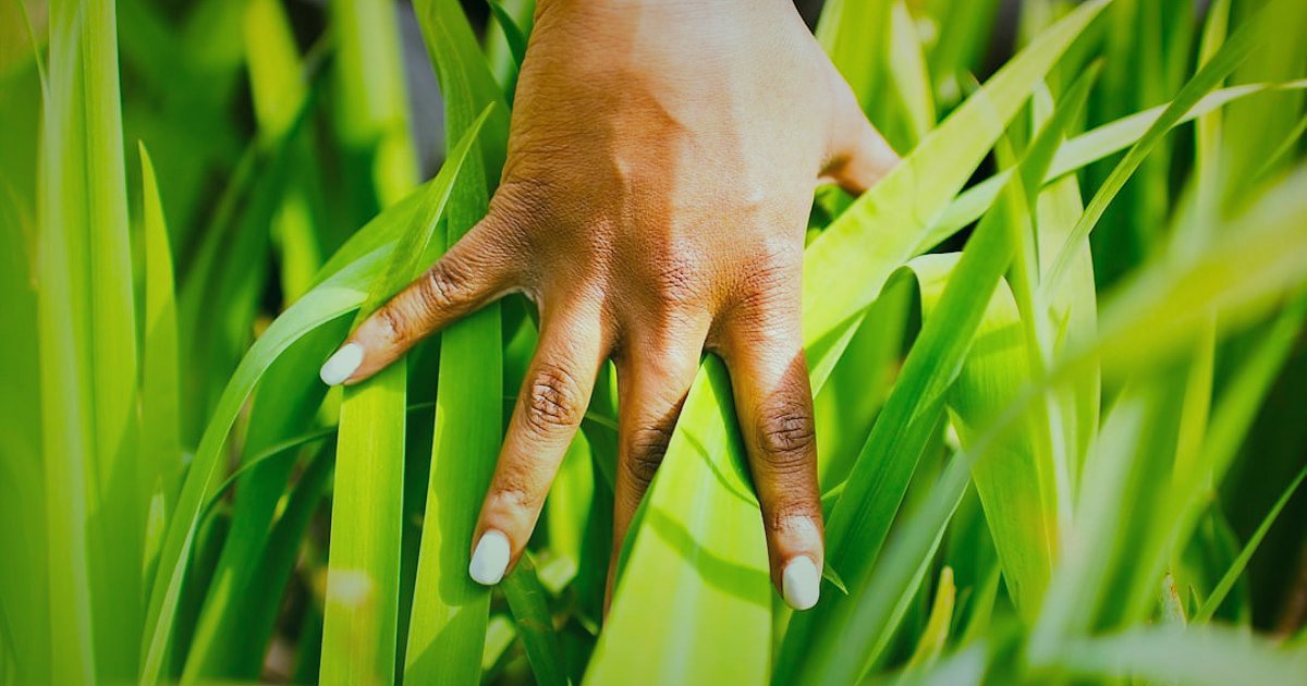 Dijital Pazarlama Başarı Stratejileri 2026: Gelirinizi Katlayın! - hands holding seedling plant in soil sustainable agriculture
