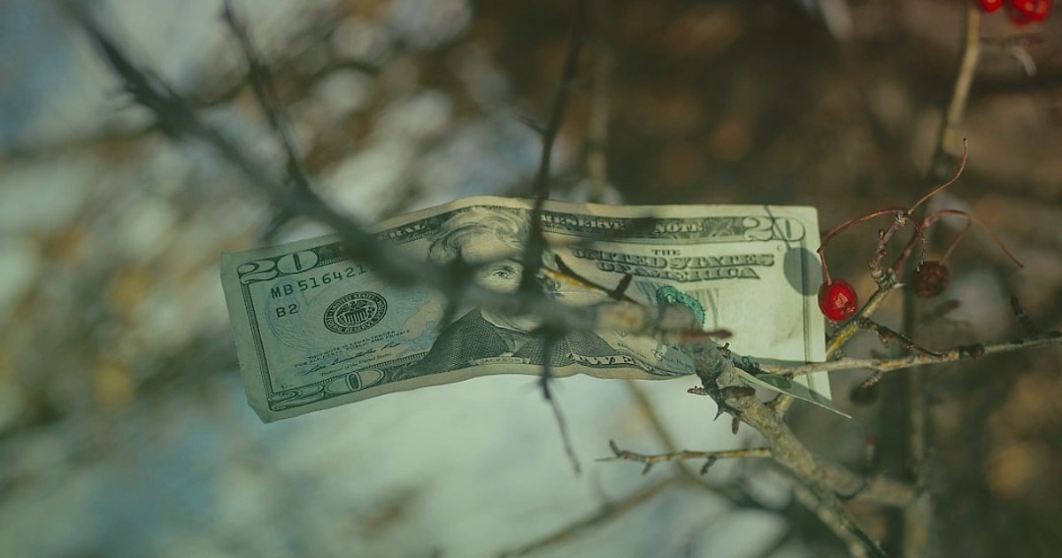 Dropshipping Nedir Nasıl Yapılır 2026: Stoksuz Satışla Kârınızı Maksimize Edin! - person planting seeds growing into money tree