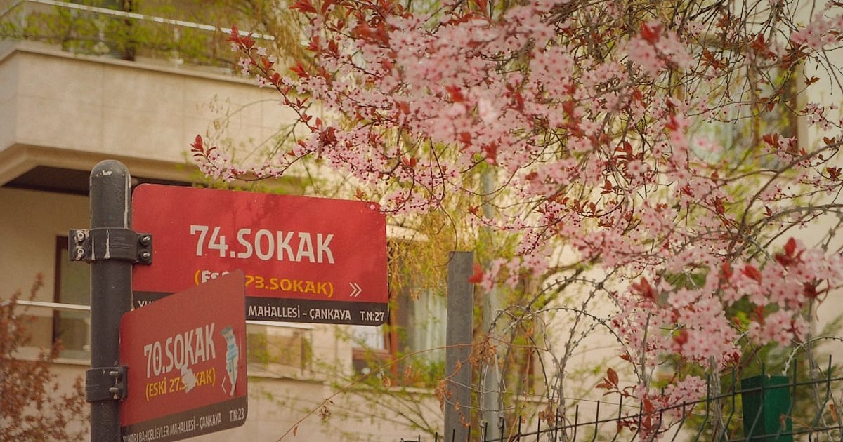 Dropshipping Rehberi 2026: Stoksuz Satışla Kârınızı Katlayın!