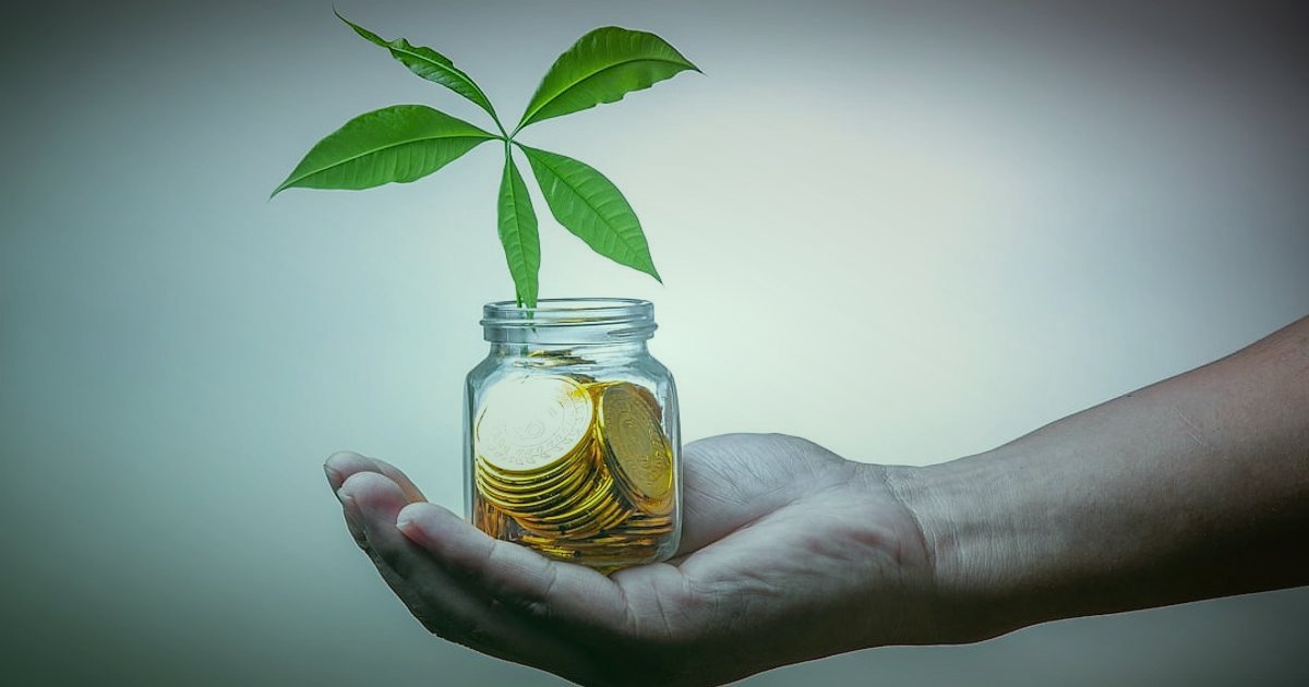 Dropshipping.gen.tr Avantajları 2026: Neden E-Ticarette Güvenle Başlamalısınız? - hands holding a growing plant emerging from a pile of coins, symbolizing investment growth