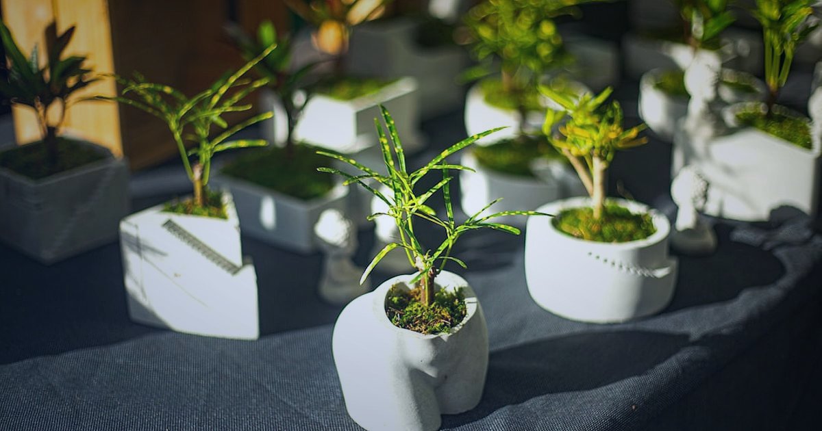 Dropshipping.gen.tr ile Tedarikçi Bulma ve Entegrasyonun 2026 Sırları - diverse hands holding small potted plants market stall