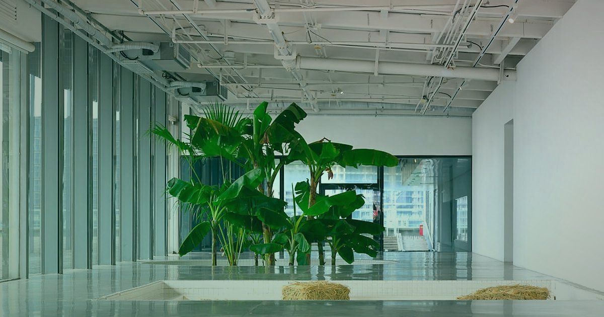Dropshipping.gen.tr: Tedarikçi Bulma ve Entegrasyonun 2026 Sırları - serene office space with plants and natural light