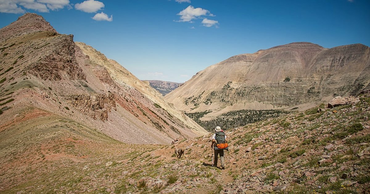 Erkek Pantolon & Jean Alıcısını Anlamak: 2026'da Kimler Satın Alıyor ve Neden? - hiker wearing durable cargo pants on mountain trail