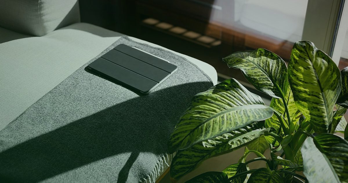 Ev Dekorasyonunda 2026 Sezonluk Kampanyalar: Satışları Katlamanın Sırları - minimalist living room with plants natural light