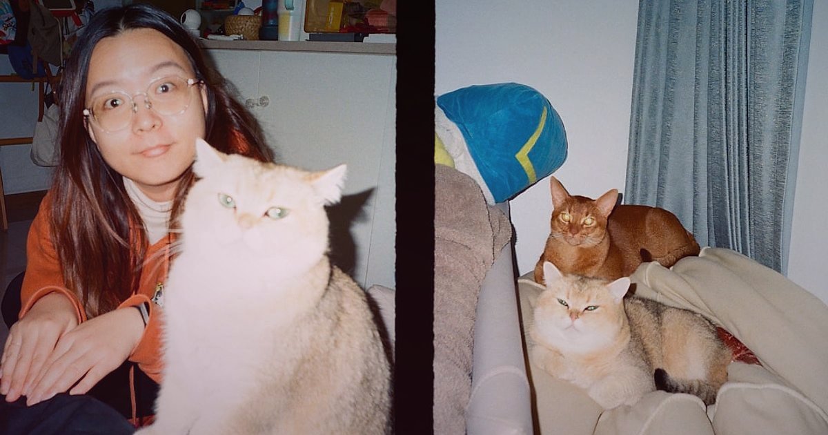 Evcil Hayvan Ürünleri Dropshipping: 2026'da Rakipleri Yenme Taktikleri - compilation of user-generated photos of pets with products