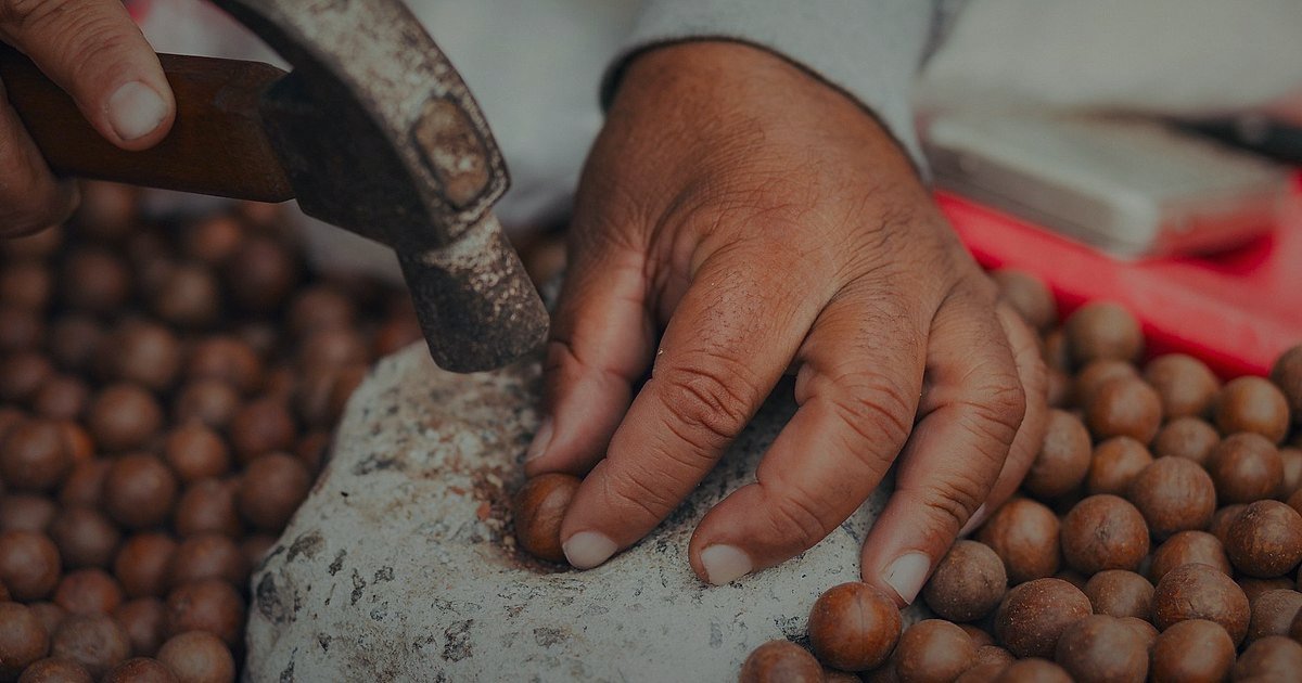 Fark Yaratın: 2026 Kuruyemiş Pazarında Rakip Analizi ve Stratejik Üstünlük - hands carefully placing premium nuts into bespoke packaging