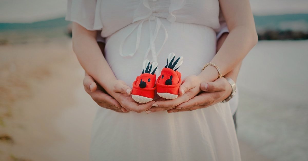 Kargo Hasarında Tazminat Süreci 2026: Bayi Hakları ve Adım Adım Rehber