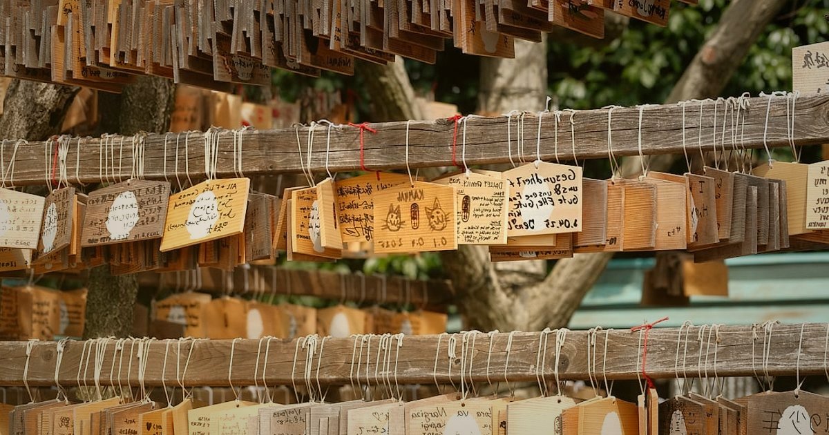 Kuş Yemi Satışında Başlangıç Tuzakları: 2026'da Nelere Dikkat Etmeli? - price tags with decreasing numbers on bird cages and seed bags