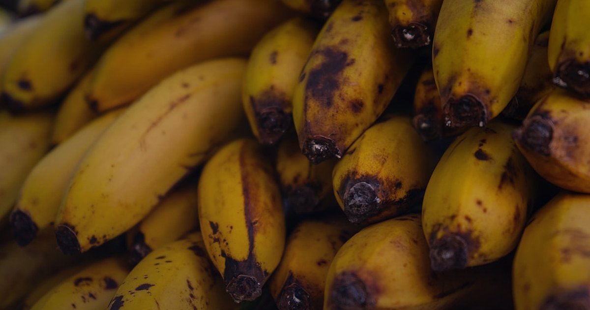 Organik ve Doğal Ürün Nişinde Dropshipping: 2026 Kâr Marjı ve Fiyatlandırma Sırları - vibrant organic produce market stall