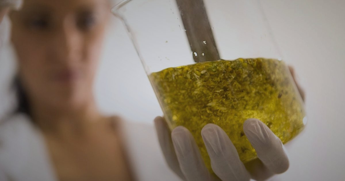 Organik ve Doğal Ürün Nişinde Dropshipping: 2026 Kâr Marjı ve Fiyatlandırma Sırları - scientist inspecting natural product in laboratory