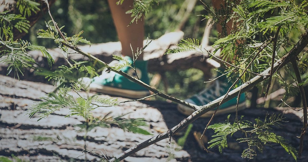 Outdoor Ayakkabı Satışında Hukuki Labirent: ETBİS'ten Etiketlere 2026 Rehberi - eco-friendly outdoor shoes with sustainability labels in nature