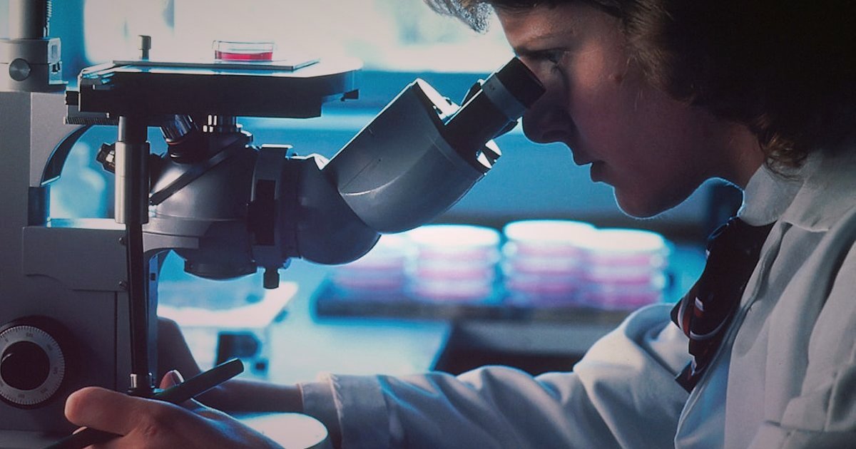 Sıfır Baş Ağrısı: Buji İade ve Değişim Süreçleri Yönetimi 2026 - technician examining faulty spark plug under microscope