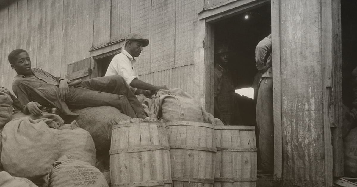 Un, Makarna, Pirinç Satışında Maksimum Kâr: 2026 Fiyatlandırma ve Maliyet Hesaplama Rehberi - close-up of hands examining bulk rice bags in a warehouse